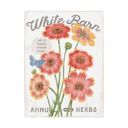 Sue Schlabach 'White Barn Flowers III' Canvas Art,18x24